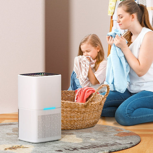 Dehumidifier, household small bedroom dehumidifier, indoor moisture removal and absorption, basement dryer - Image 2