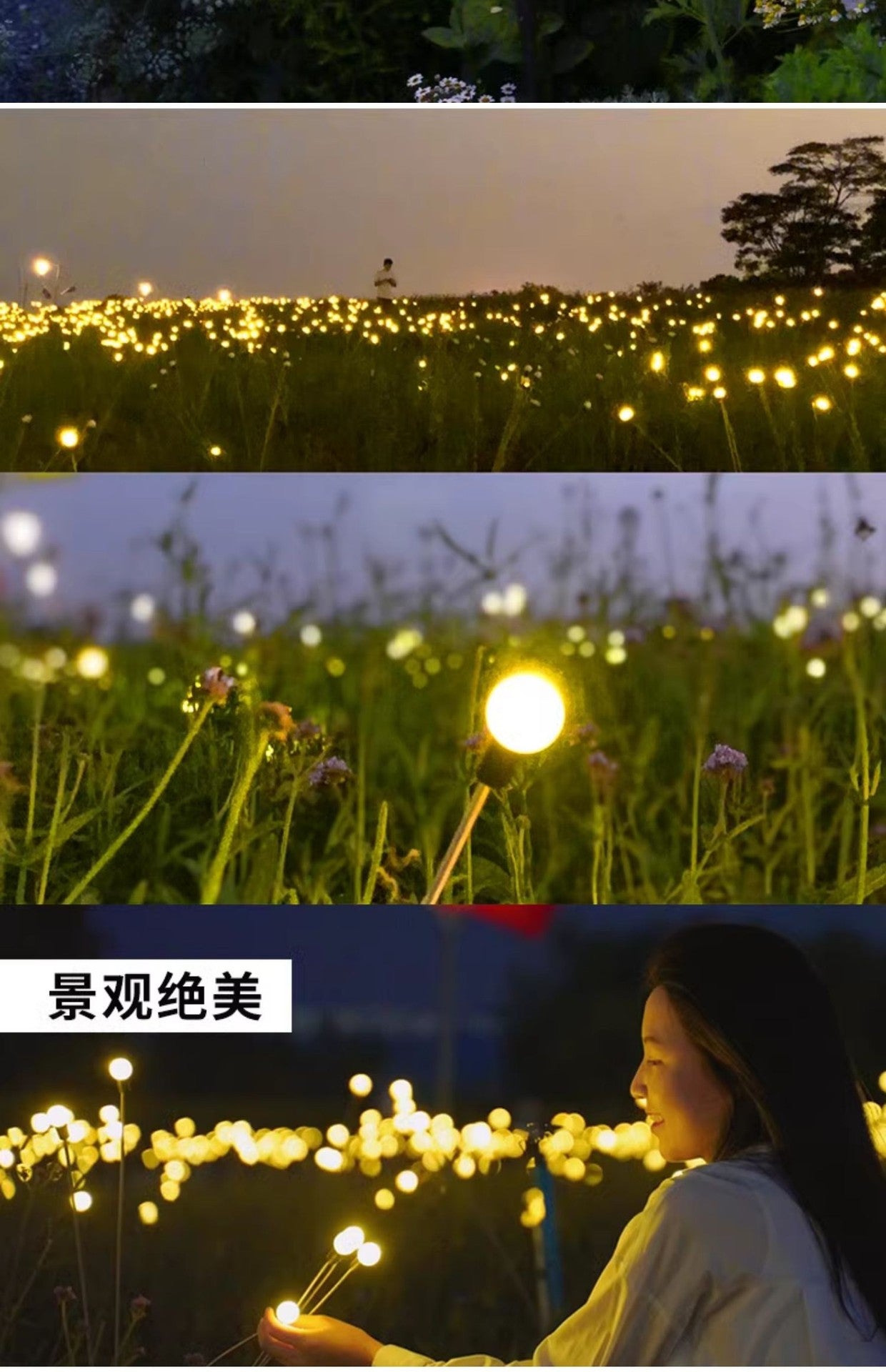 Solar lamps, outdoor firefly lamps, courtyard villa garden decorative atmosphere lamps, park ground lawn lamps