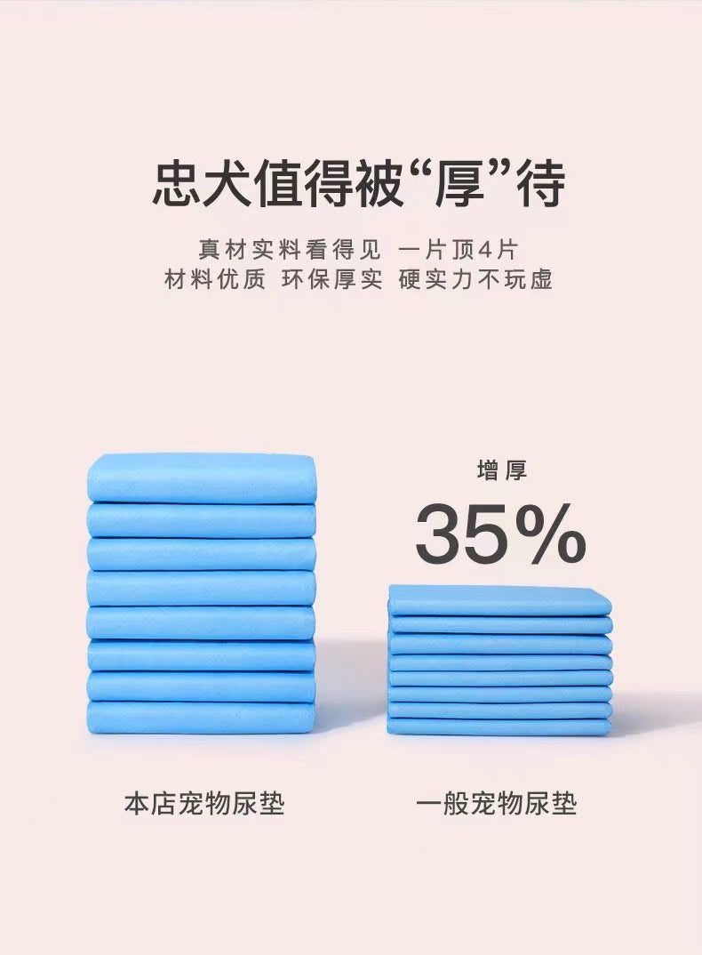 Pet urine pad, urine diaper, dog urine pad, thickened bamboo charcoal back adhesive water-absorbing disposable diaper - Image